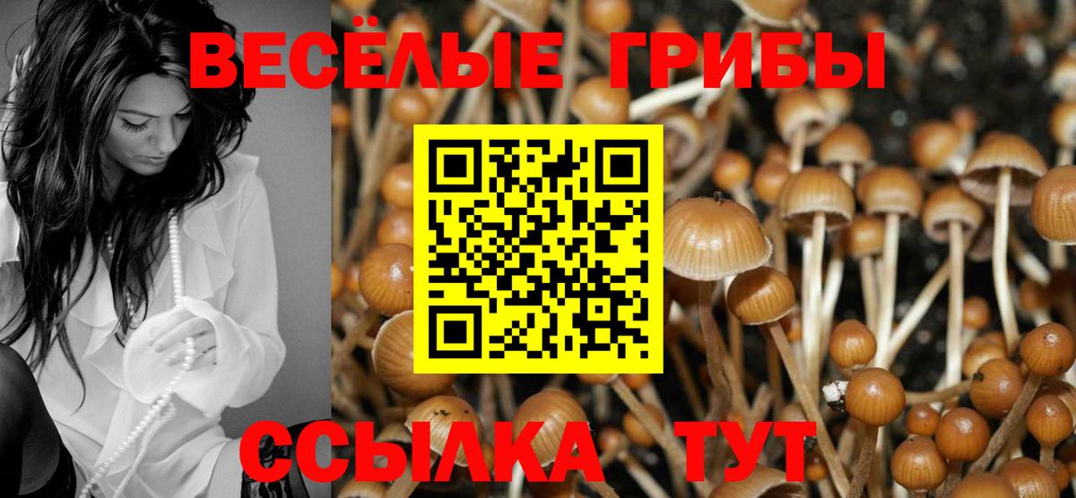 Псилоцибиновые грибы мухоморы  Вход с VPN  Галлюциногенные грибы мухоморы  Людиново 