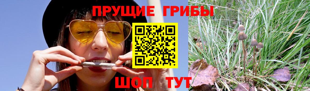 Галлюциногенные грибы MAGIC MUSHROOMS Людиново